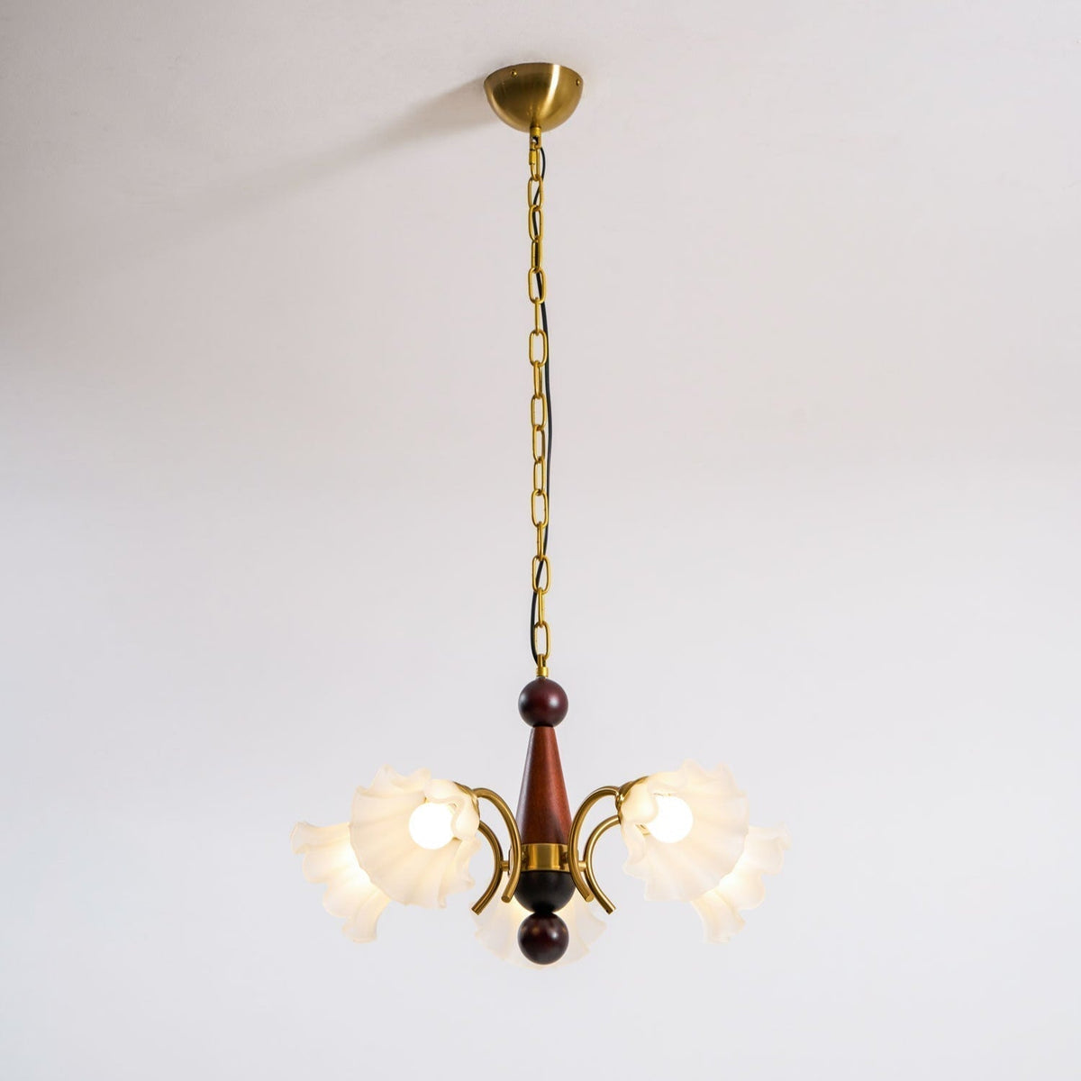 Lustre Gondole en verre et bois – vue 21