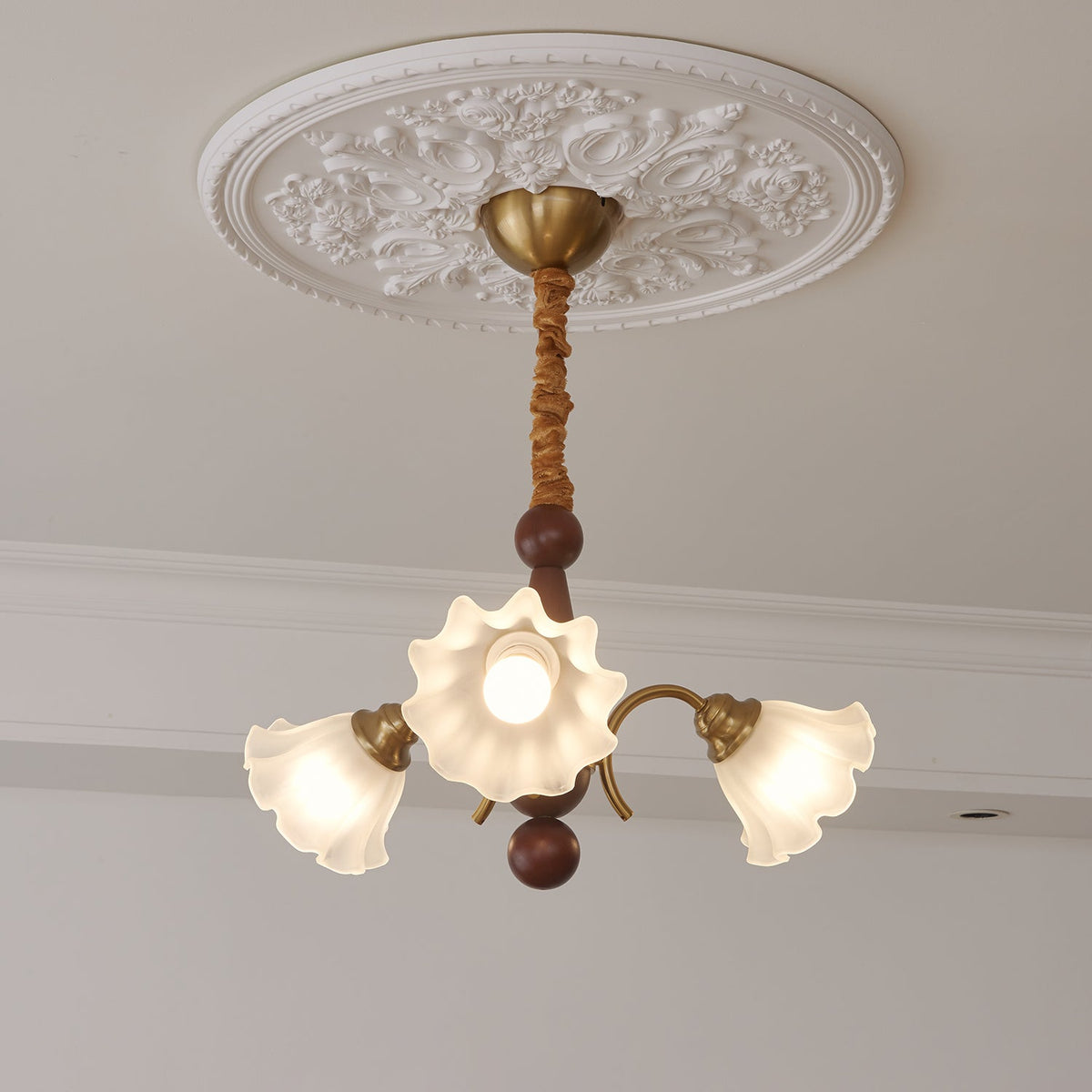 Lustre Gondole en verre et bois – vue 23