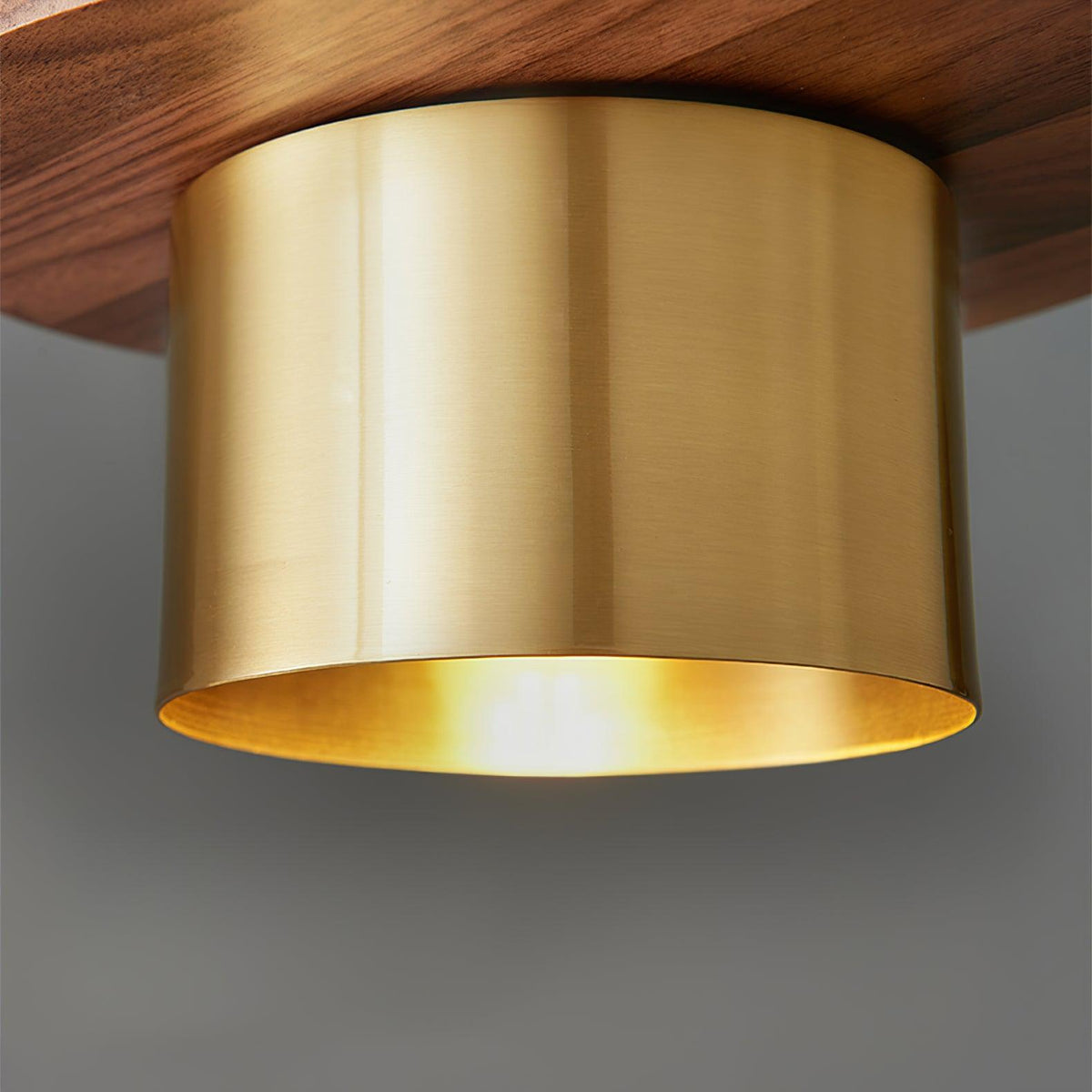 Suspension Héliotrope en laiton et noyer – vue 11