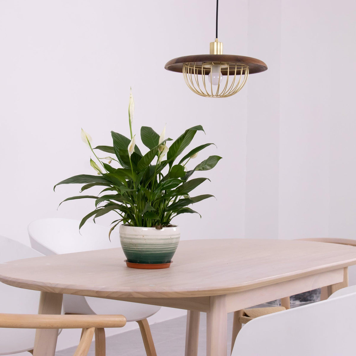 Suspension Allegro en bois et fer – vue 26