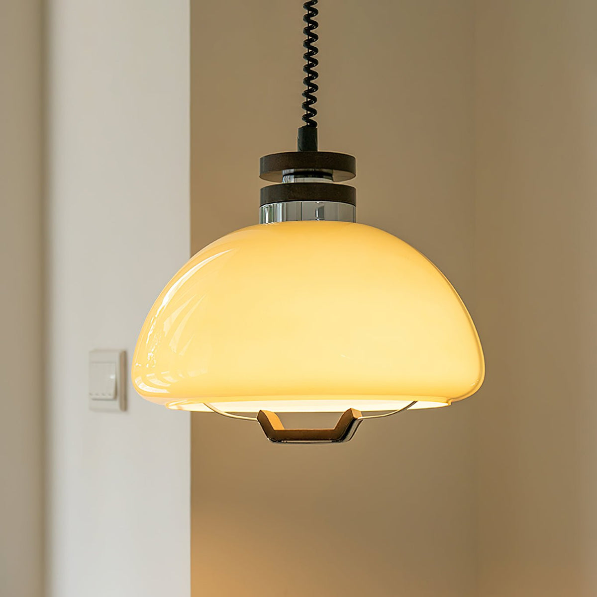 Suspension Éventail en bois et verre – vue 8
